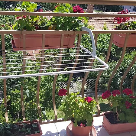 Casa Zdrava بيت ضيافة بوموري